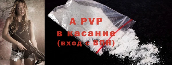 спиды Богданович