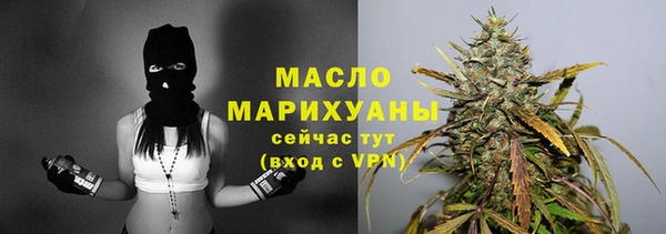 spice Бородино
