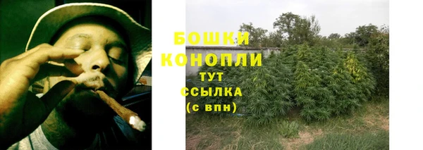 спиды Богданович