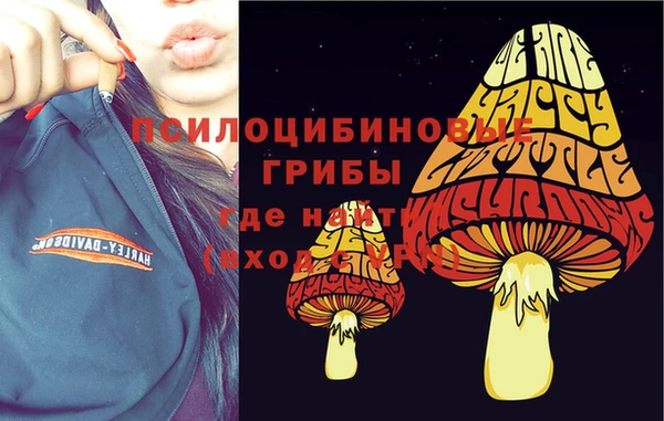 spice Бородино
