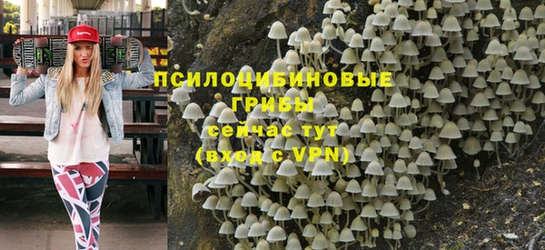 дурь Бронницы
