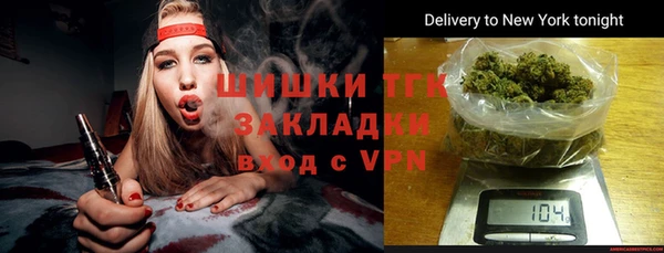 дурь Бронницы