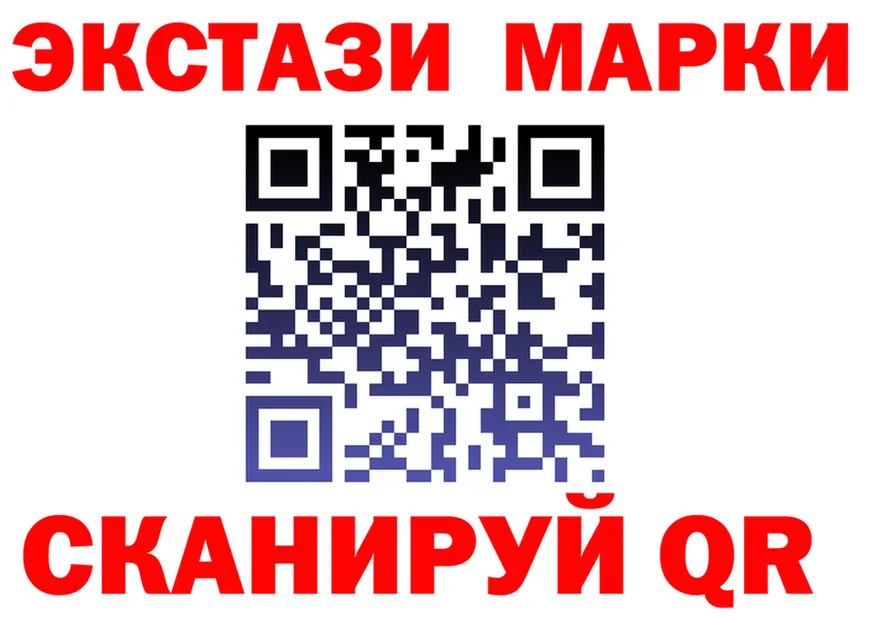 A PVP СК ТОР маркетплейс omg Томск